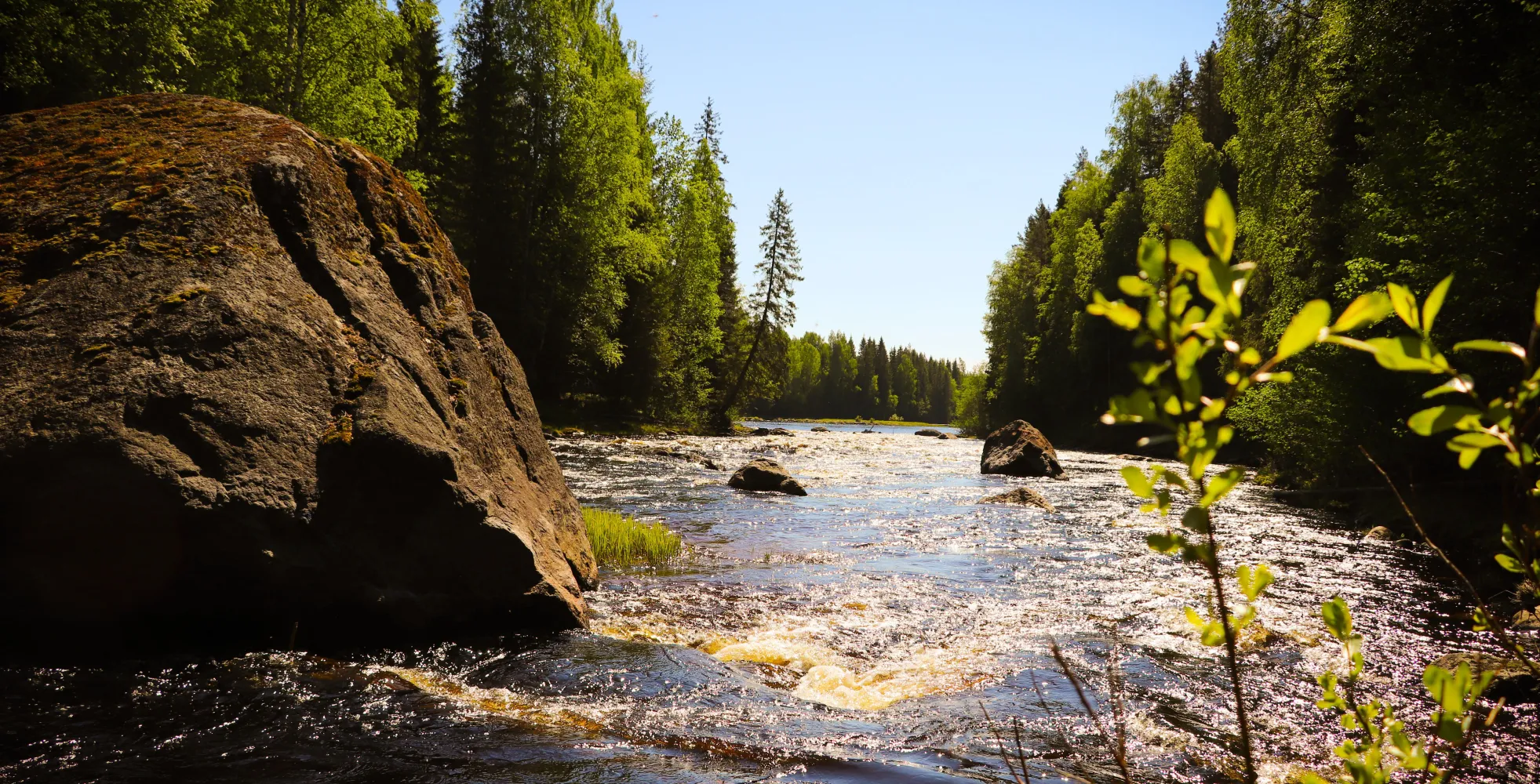 Rickleån Tjärdalsforsen 