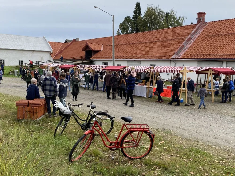 Myller medborgardagar, dag 2