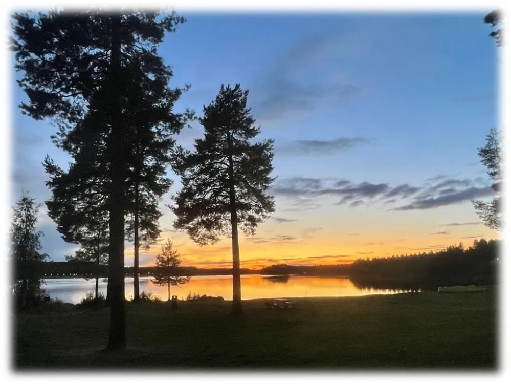 Föreläsning om Fladdermöss 