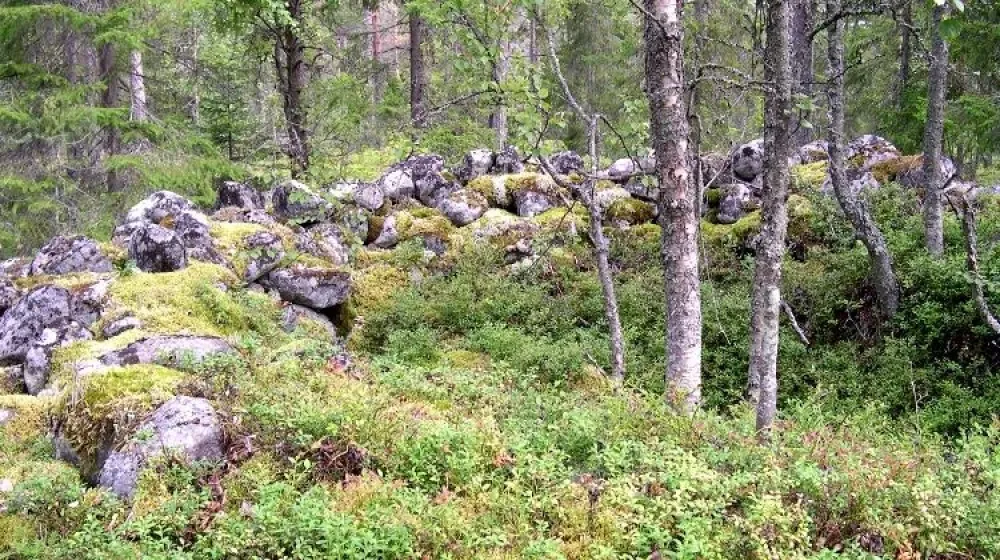 Hertsånger nature reserve