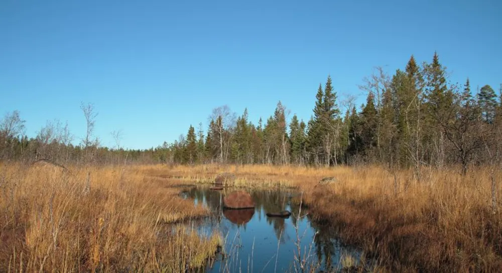 Hertsånger nature reserve
