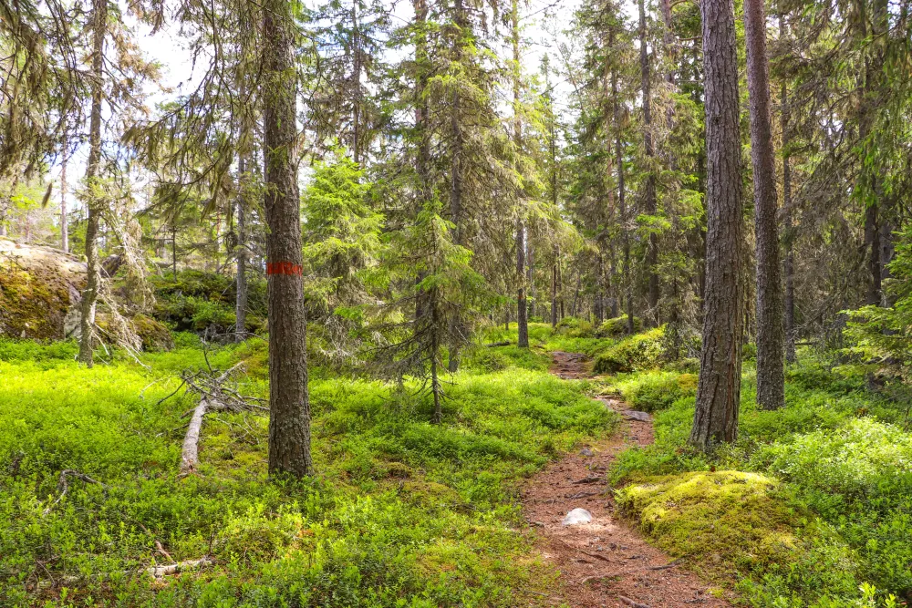 The Klubben nature reserve
