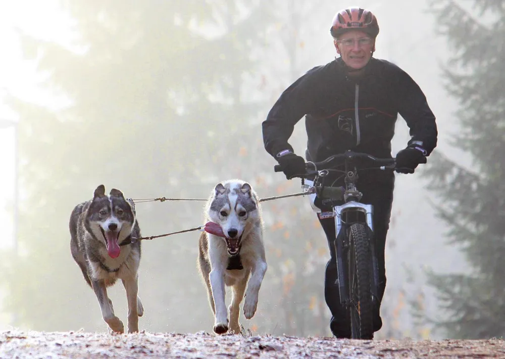 Hedlunda husky barmark